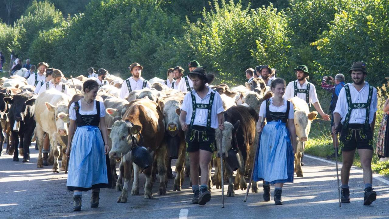 Fewo "Staufen Lodge" Oberstaufen Dış mekan fotoğraf