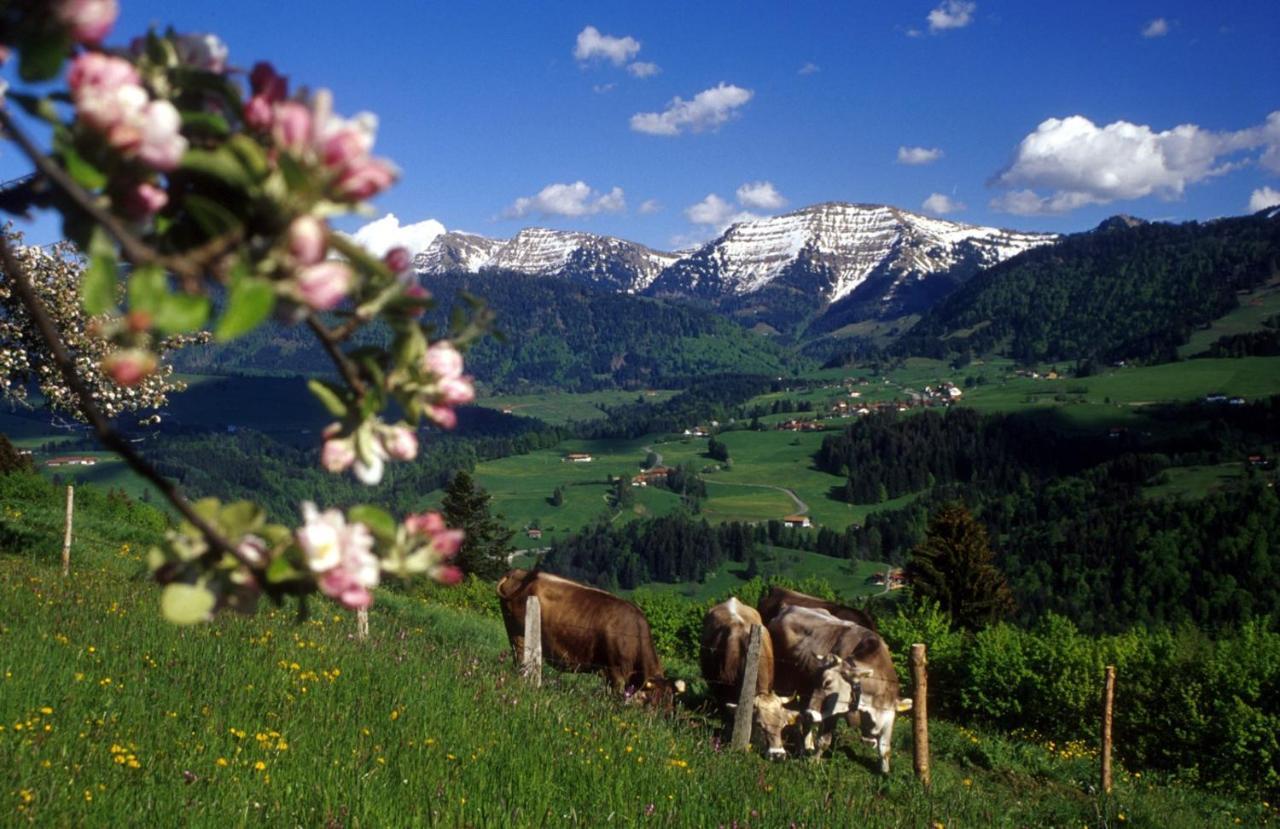 Fewo "Staufen Lodge" Oberstaufen Dış mekan fotoğraf